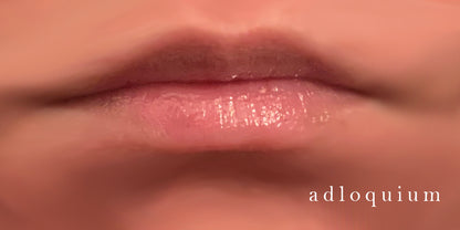 SCH Adloquium Shimmering Lip Gloss